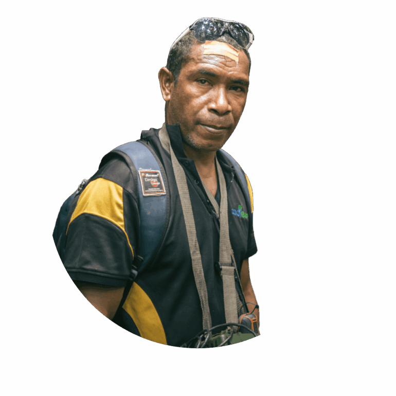 Past rainforest partnerships