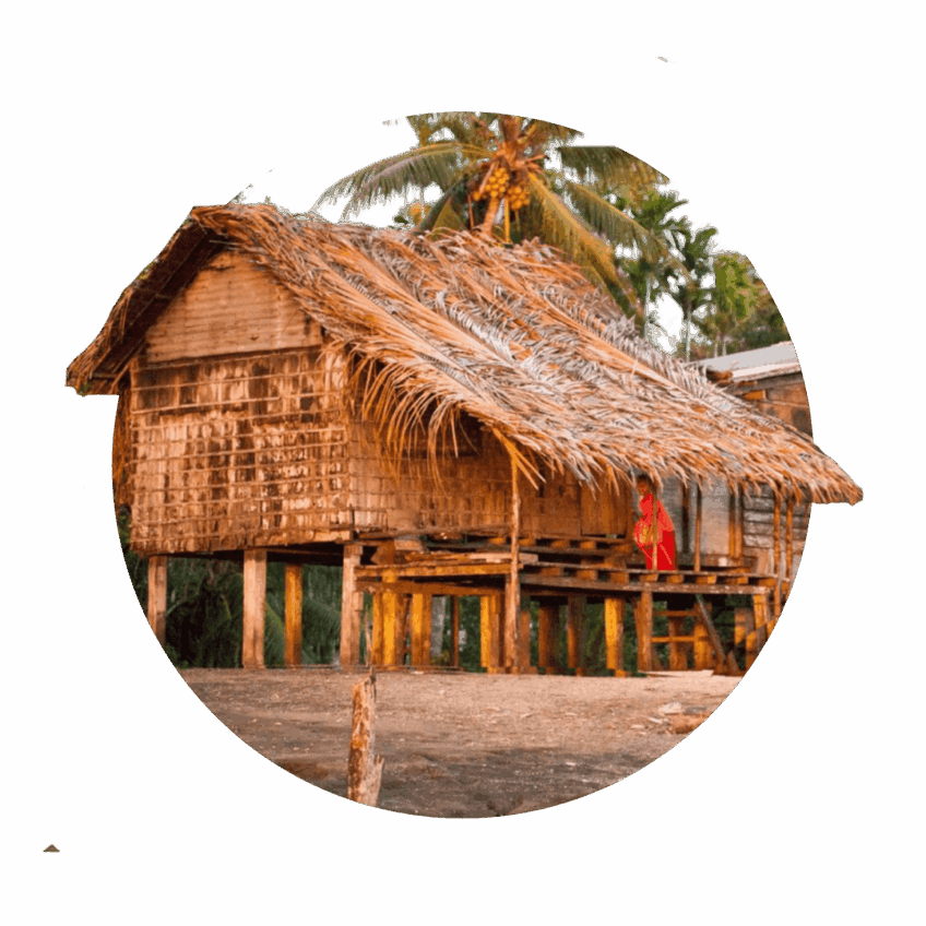 99% of rainforest remains in tact thanks to your donations