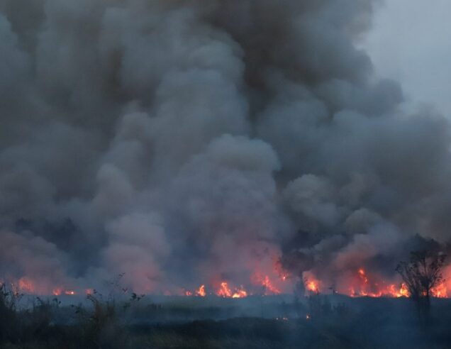 Fires reach our partners 