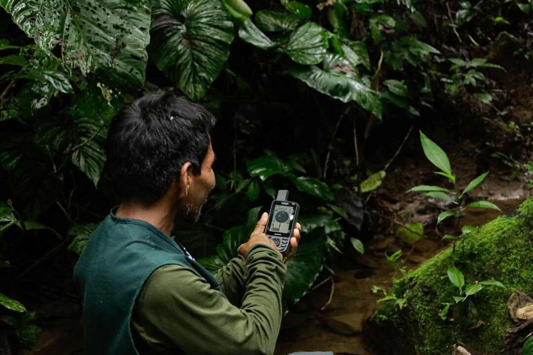 Forest Monitors from the Amazon rainforest on patrol as part of our Rainforest Labs project.