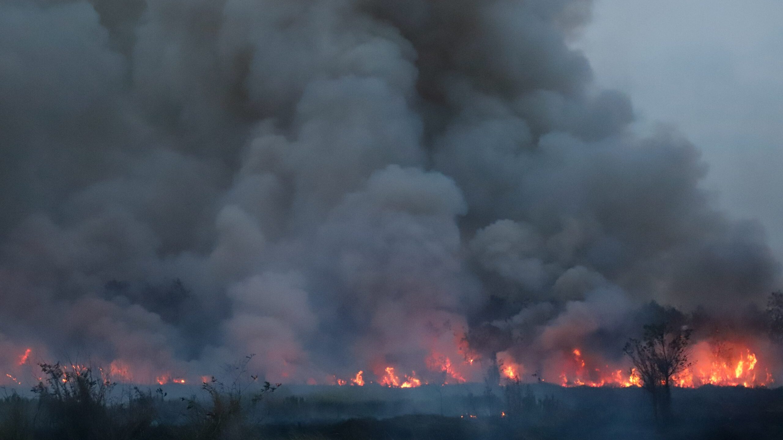 The warmest year on record &#8211; what can YOU do about it?