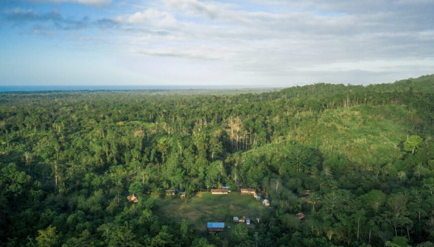 Remote rainforest communities