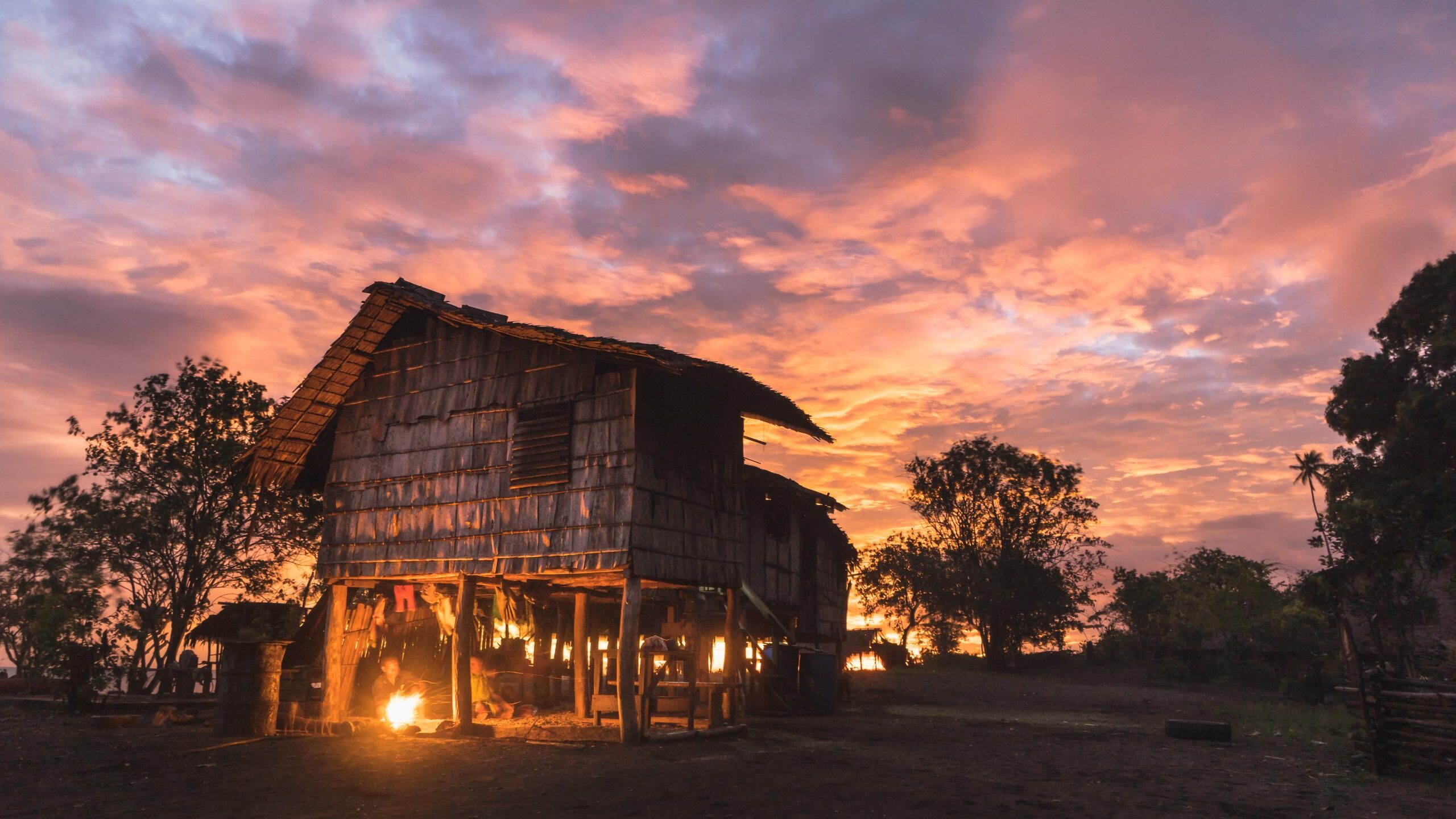 Voting, violence and rainforest in Papua New Guinea: What’s the connection?