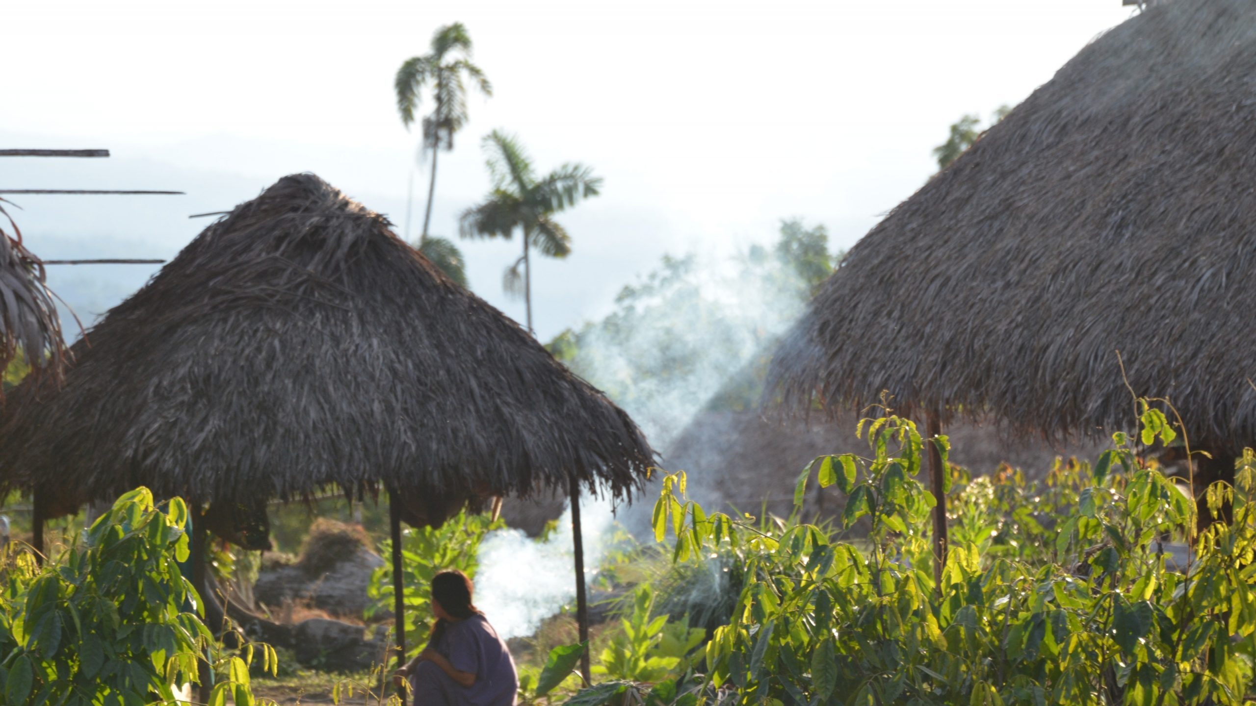 The Asháninka health promoters