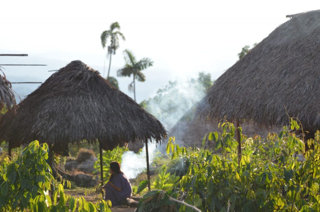 Parijaro Village lies in the remote Amazon rainforest.