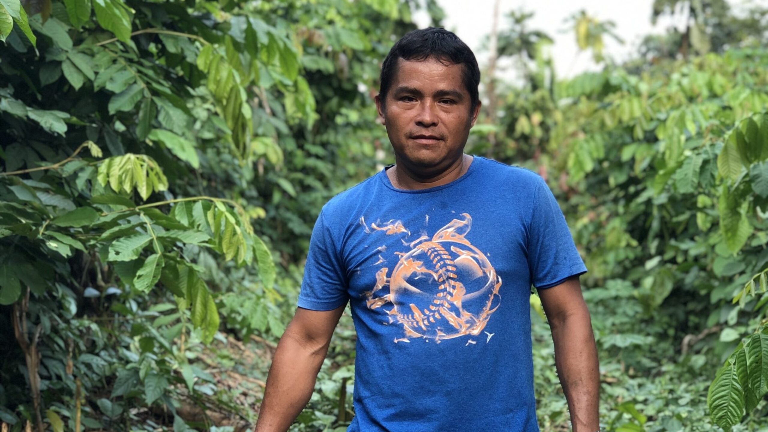 Sustainable farming in rainforest