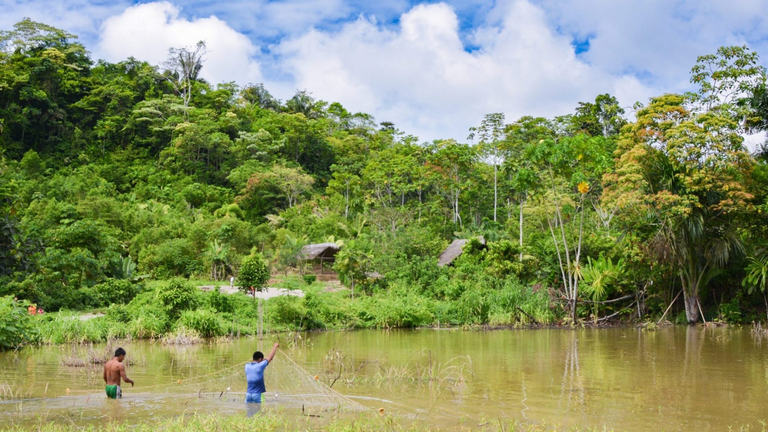 Food security in the Peruvian Amazon