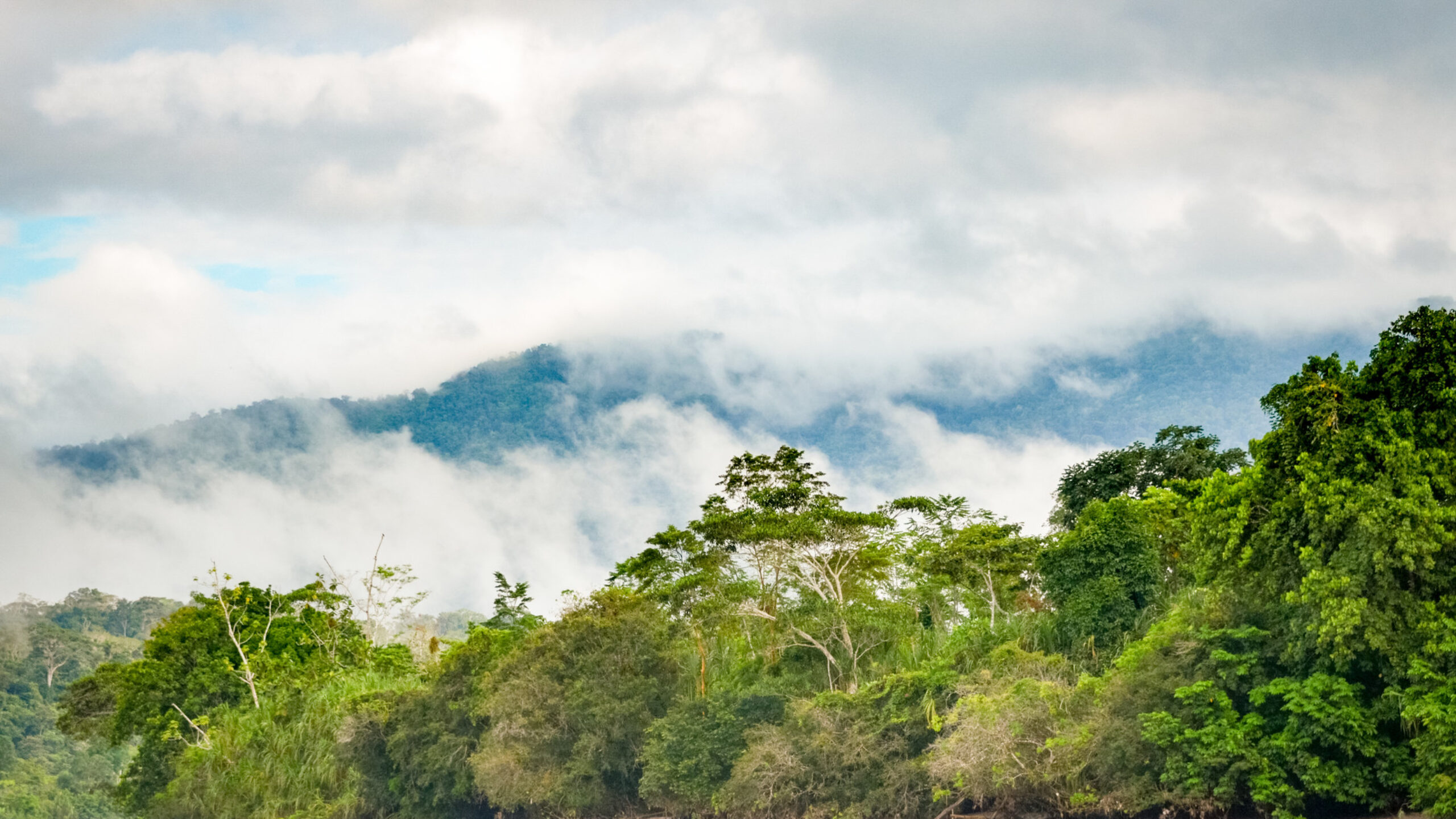 Tajimat Pujut: Wellbeing in rainforest