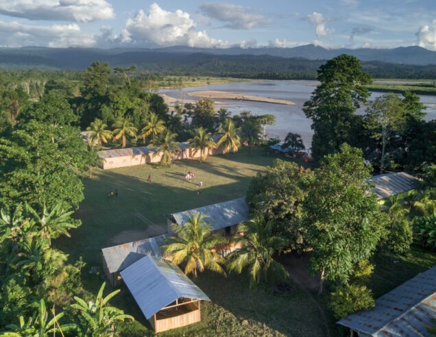 Can £2-a-day protect rainforests?