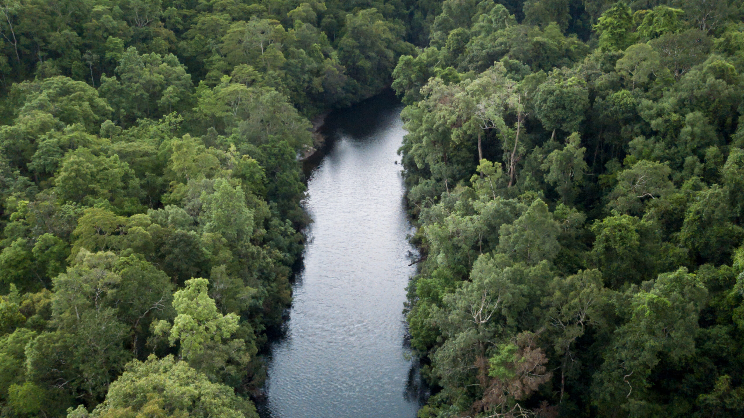 2020: The year ahead with Cool Earth