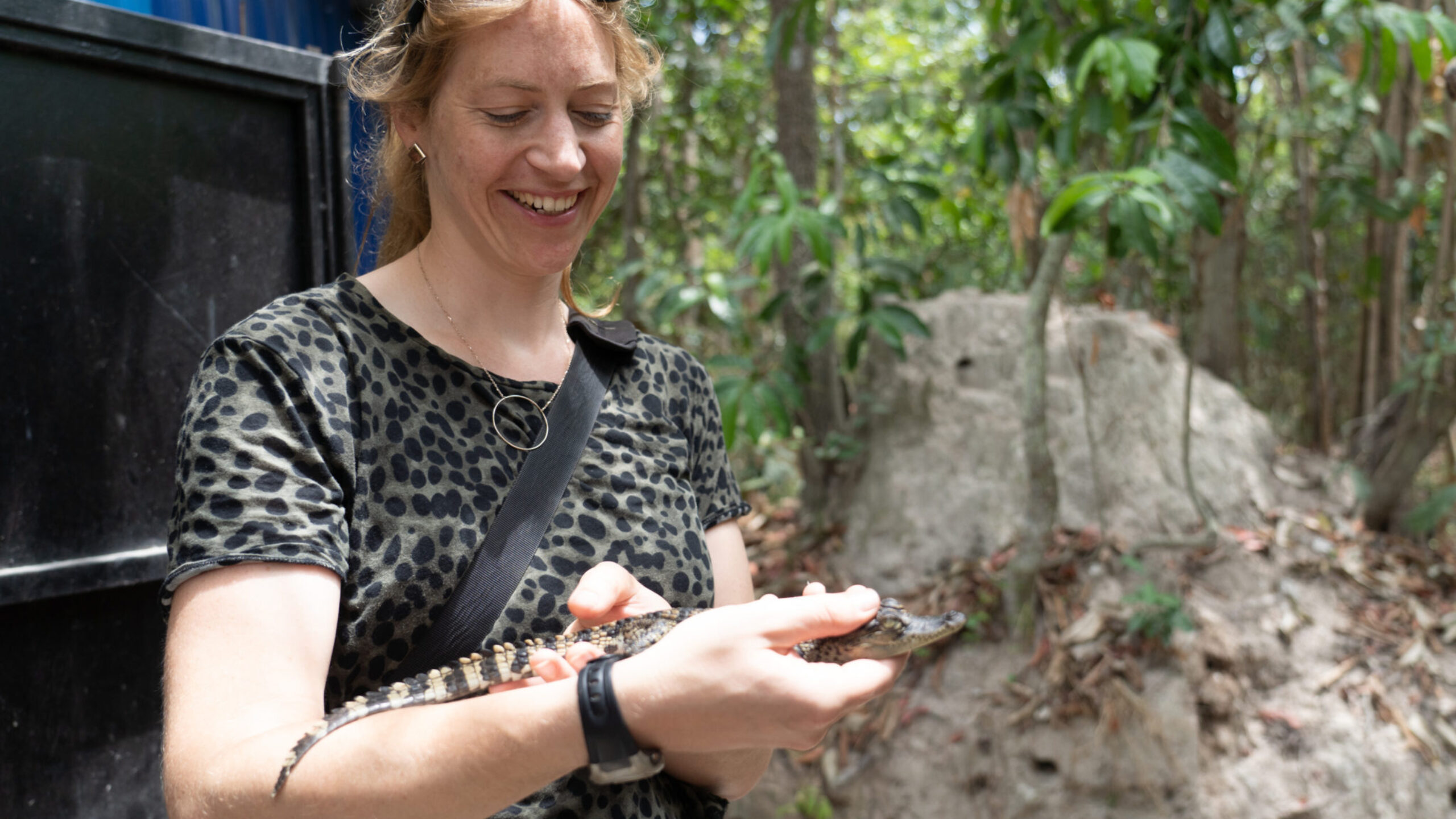 Can song and dance save the climate?