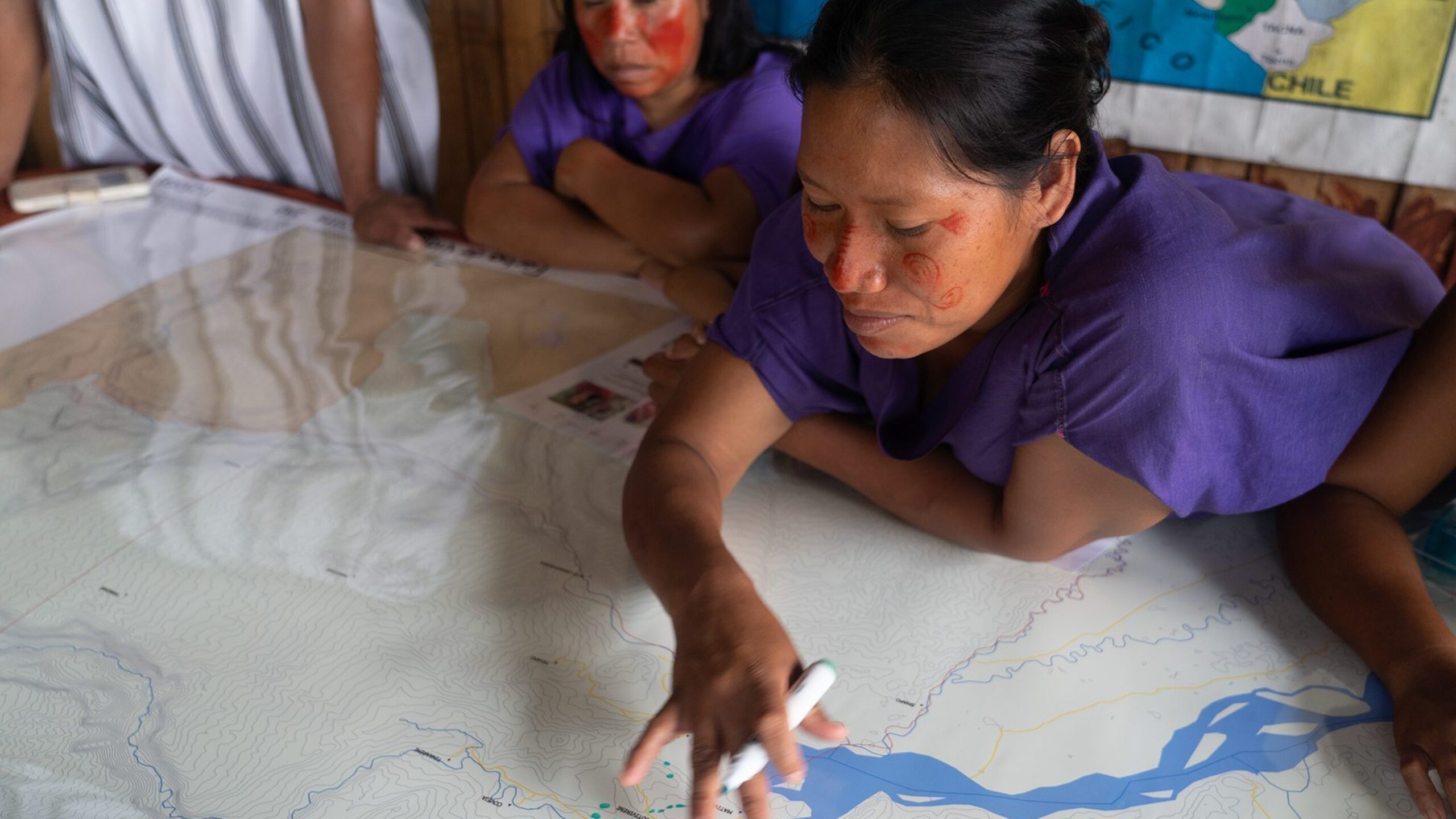 Forest monitoring: Into the trees, out of this world and back again