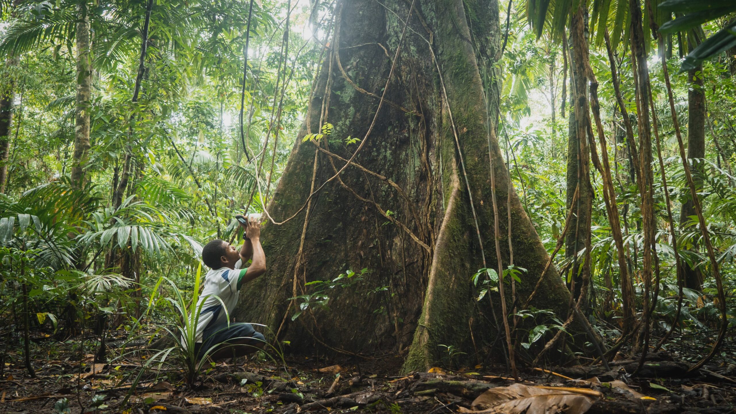 You talked, we listened