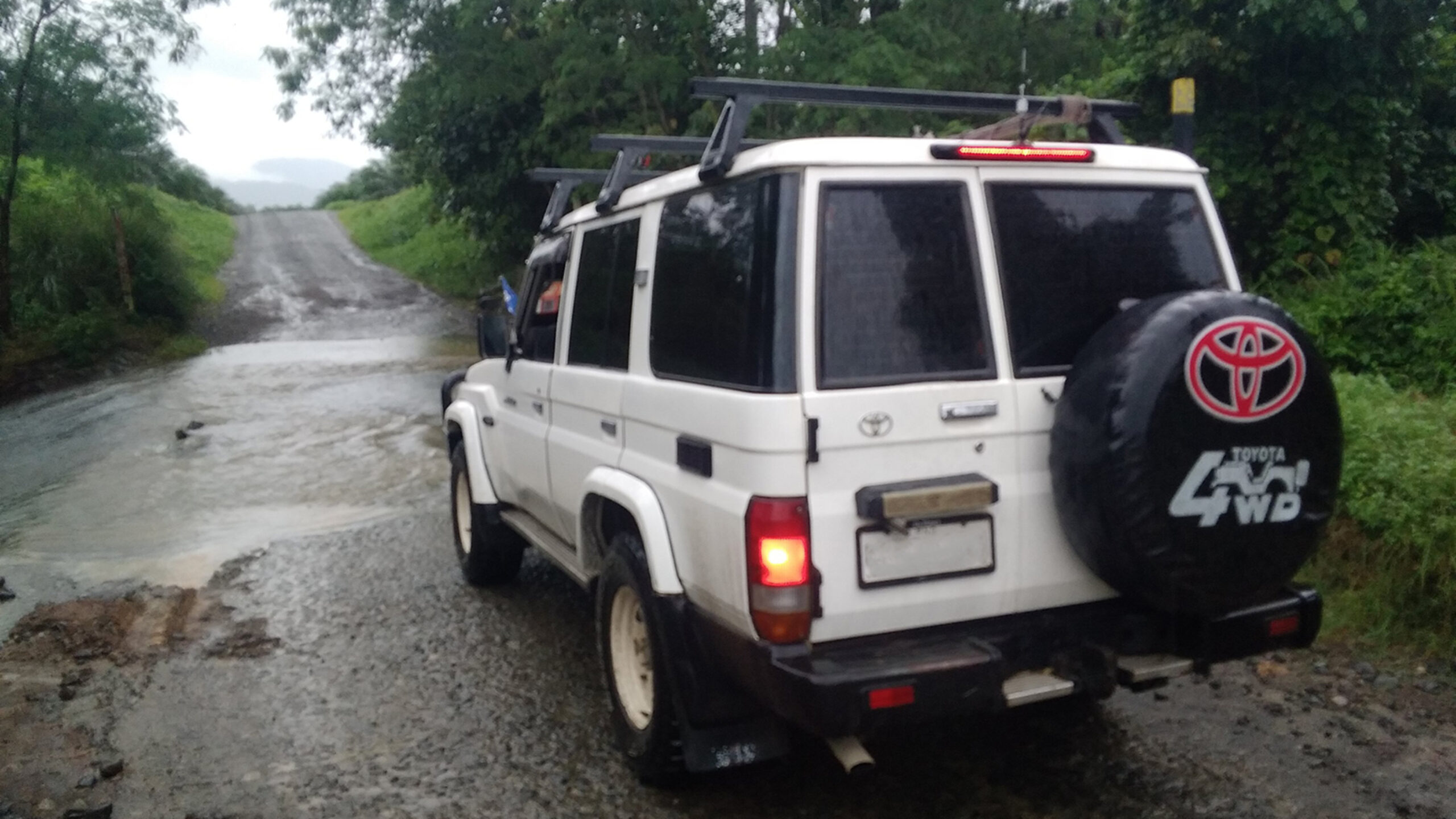 Conservation in the face of violence