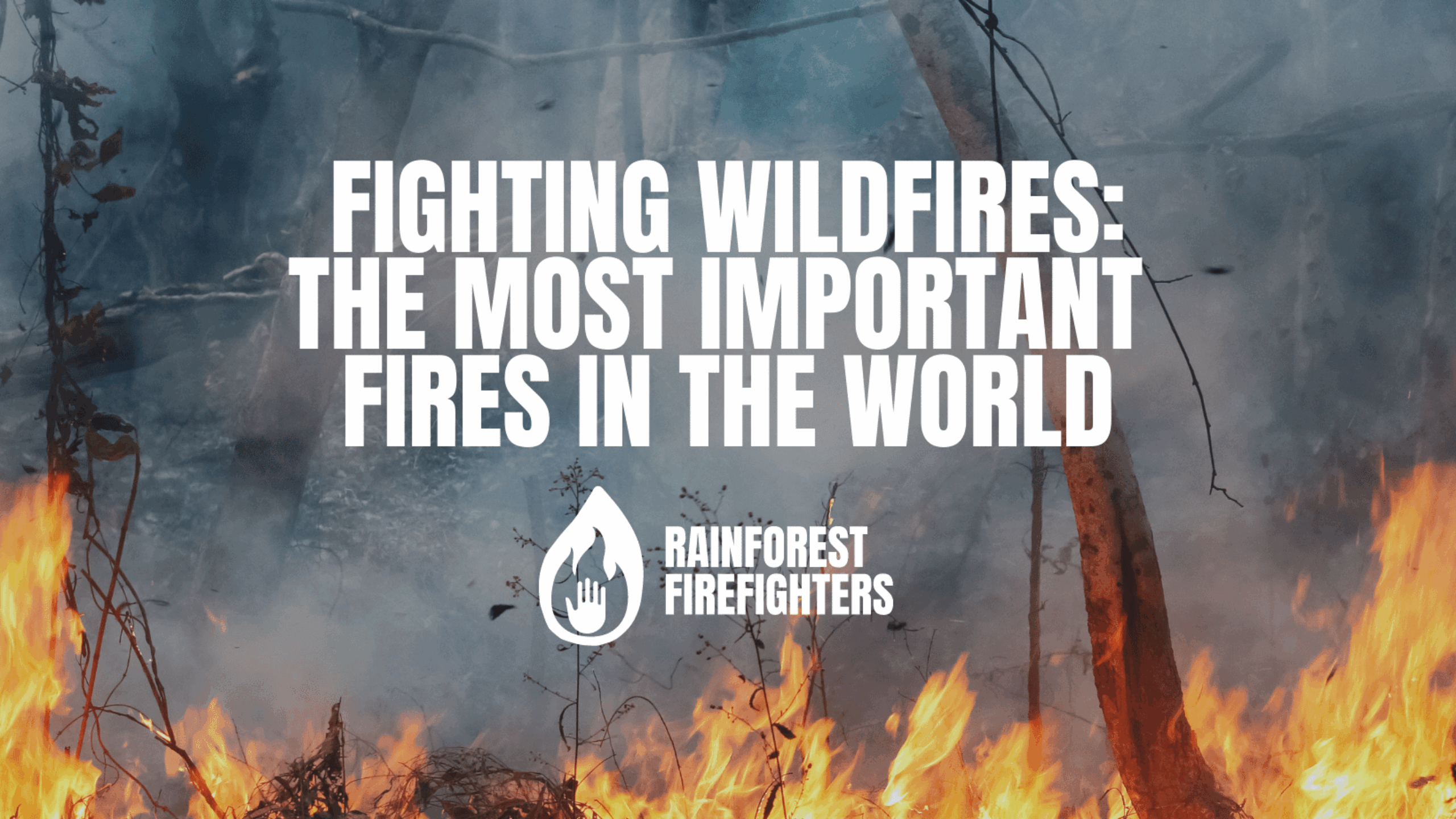 Who are the Rainforest Firefighters?