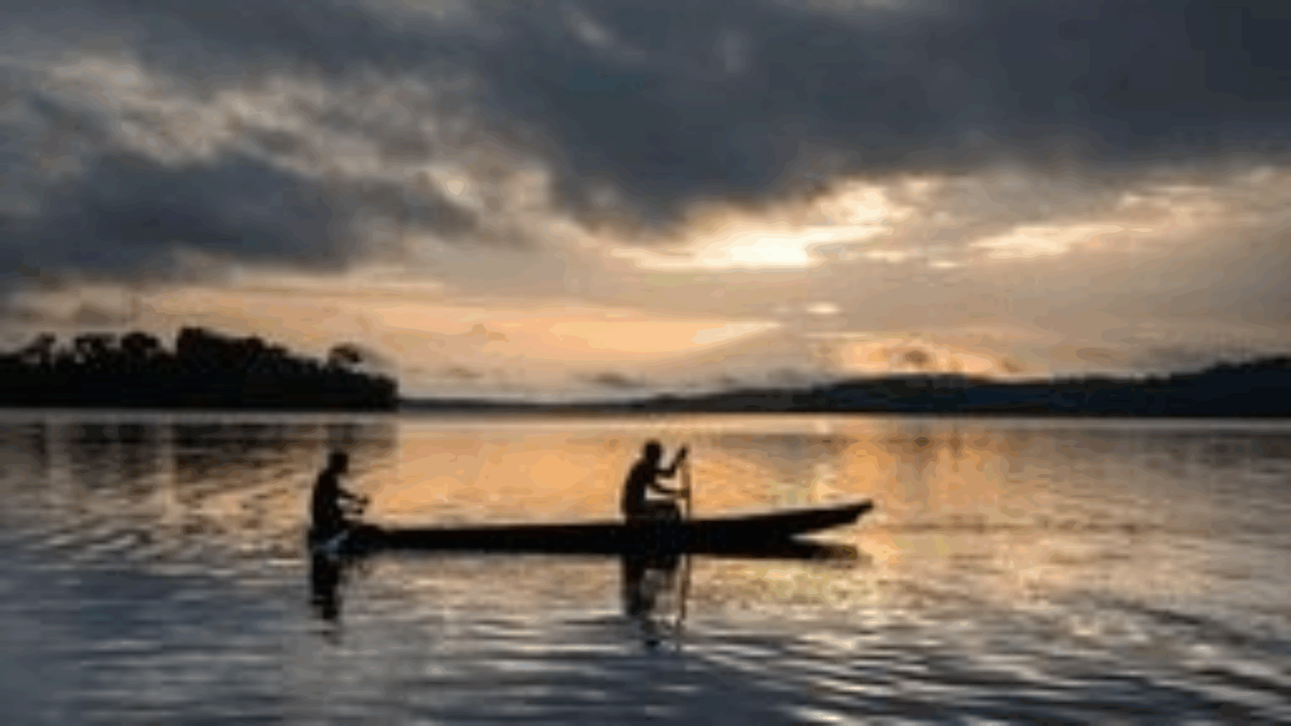 Our Forest, Our Future