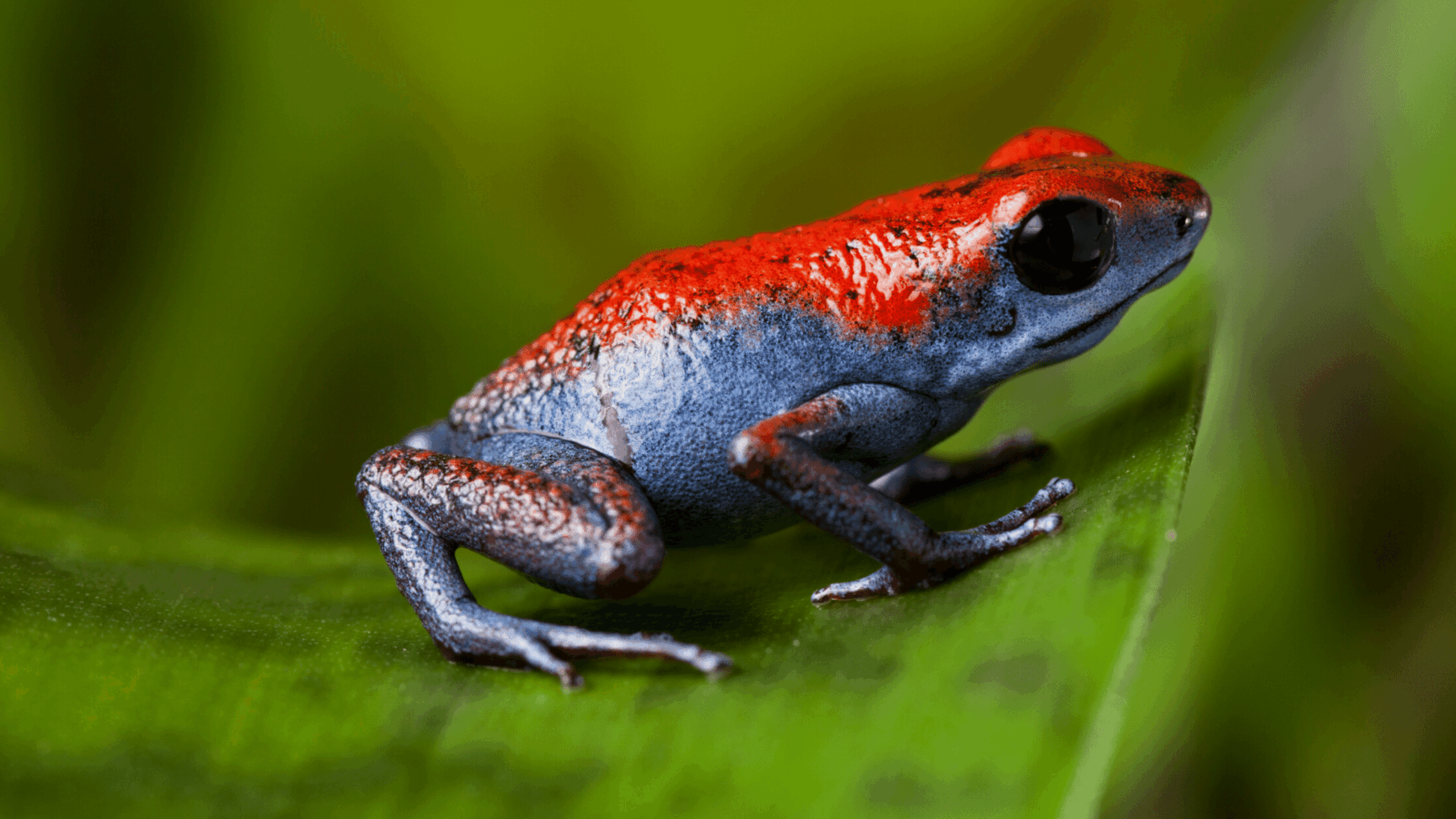 A Dose of Climate Optimism