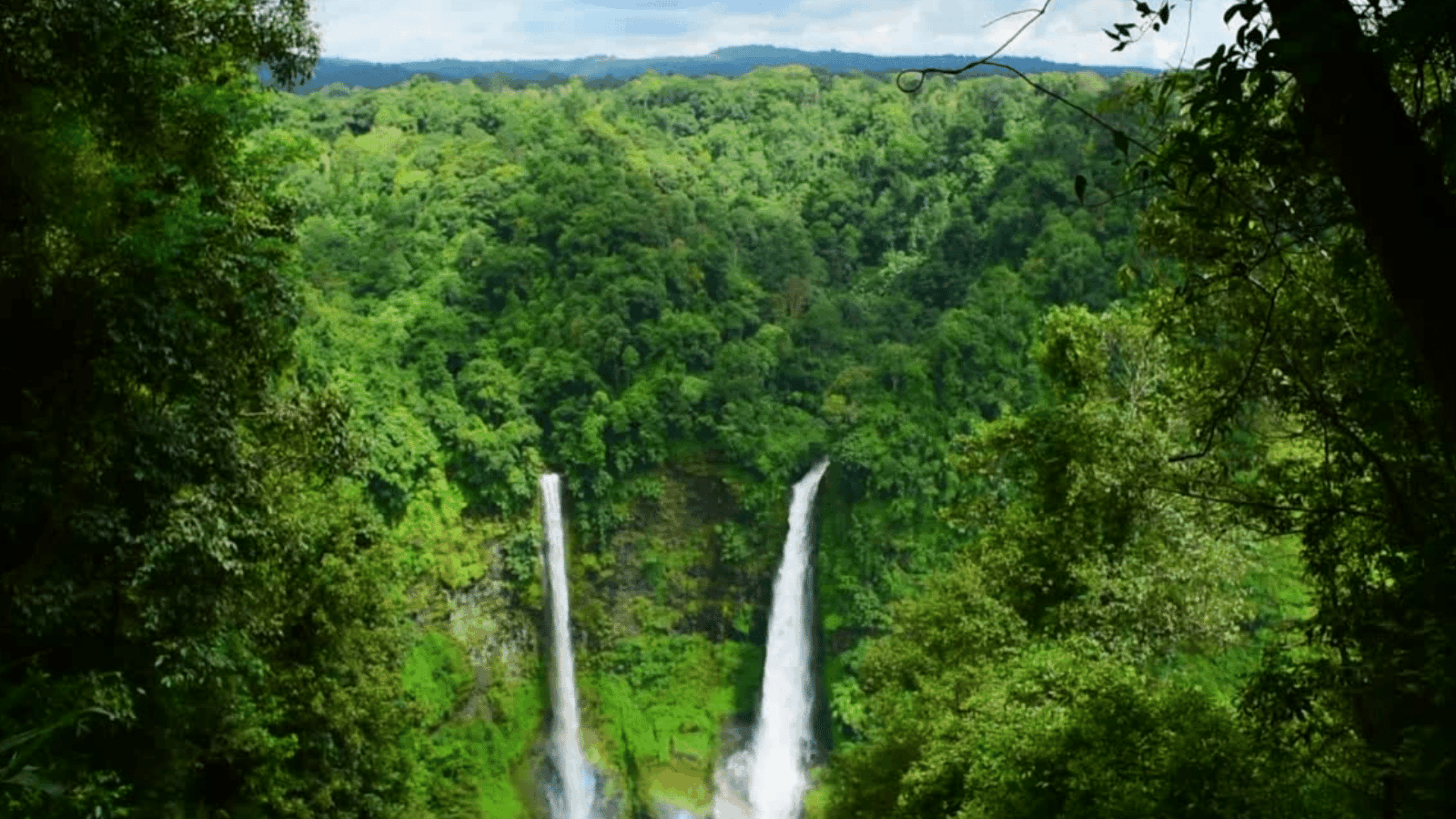 A Dose of Climate Optimism