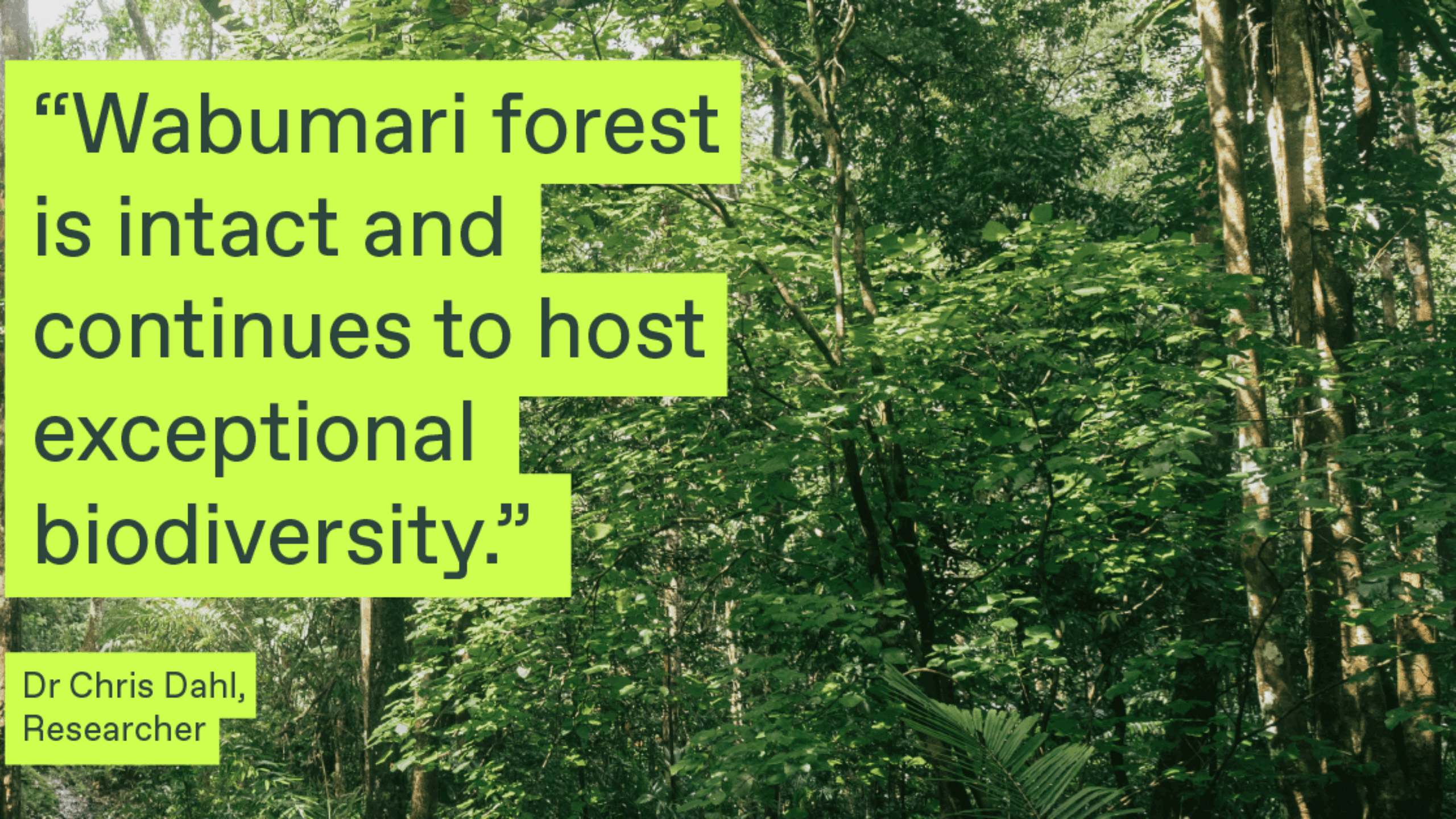 The Next Generation of Ecologists Lives in Rainforest