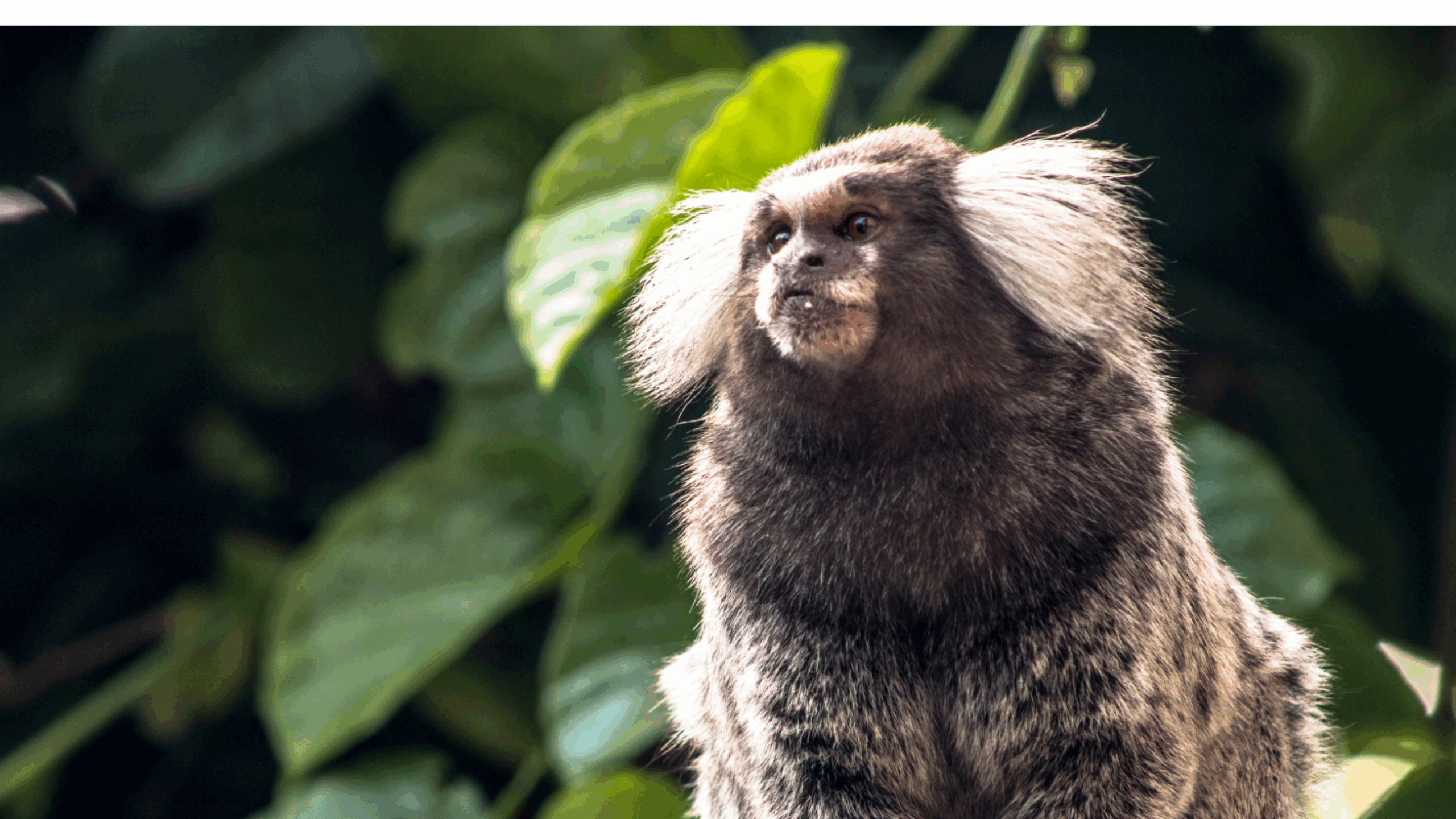 Time to look on the Bright Side