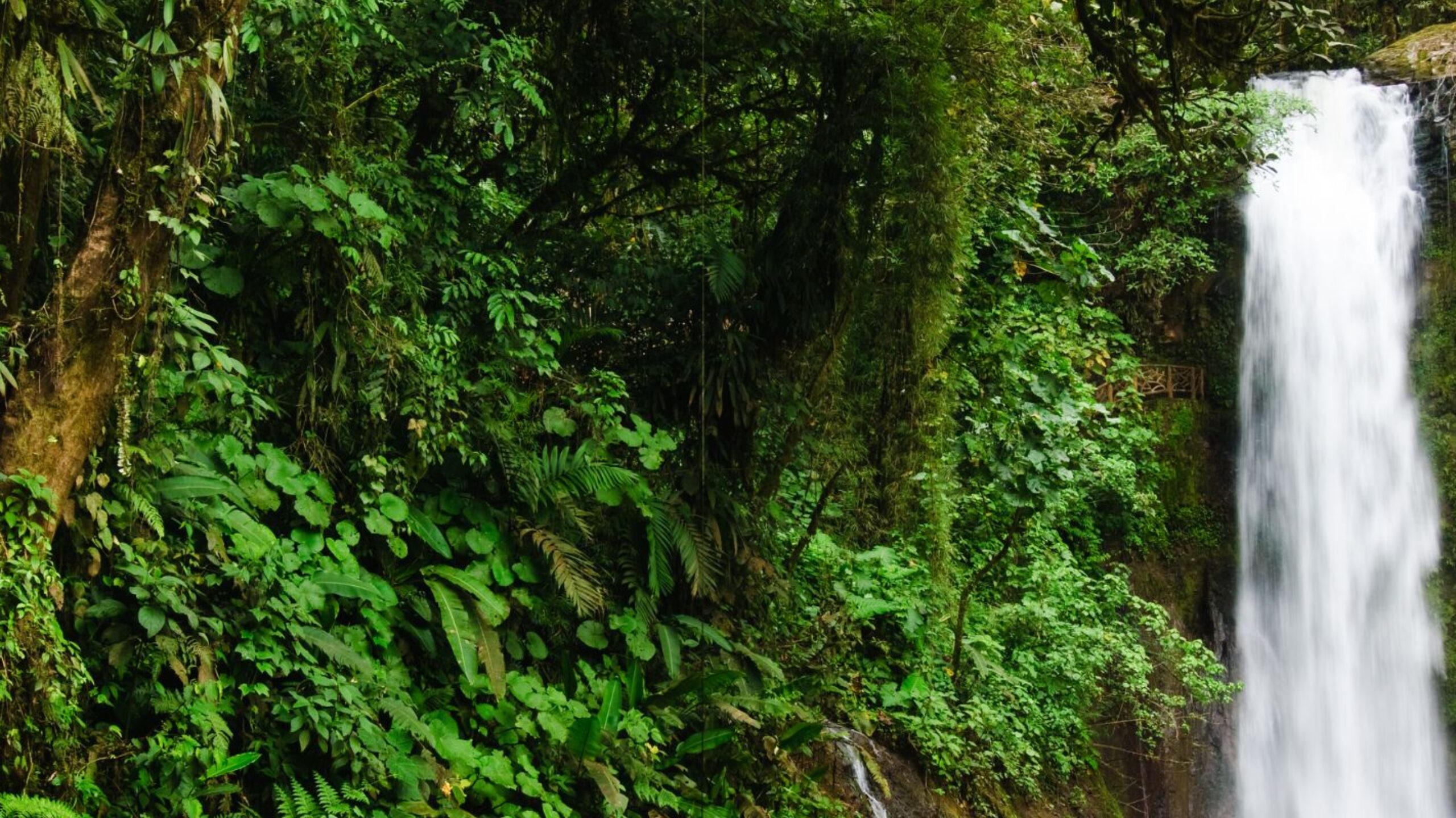 A Dose of Climate Optimism