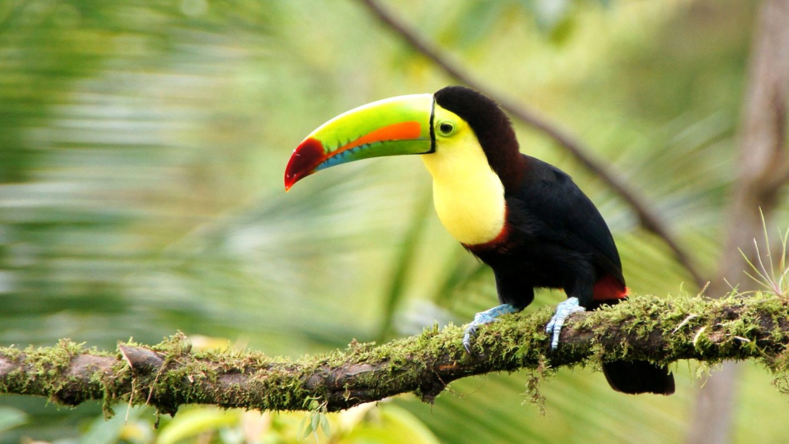 A Dose of Climate Optimism