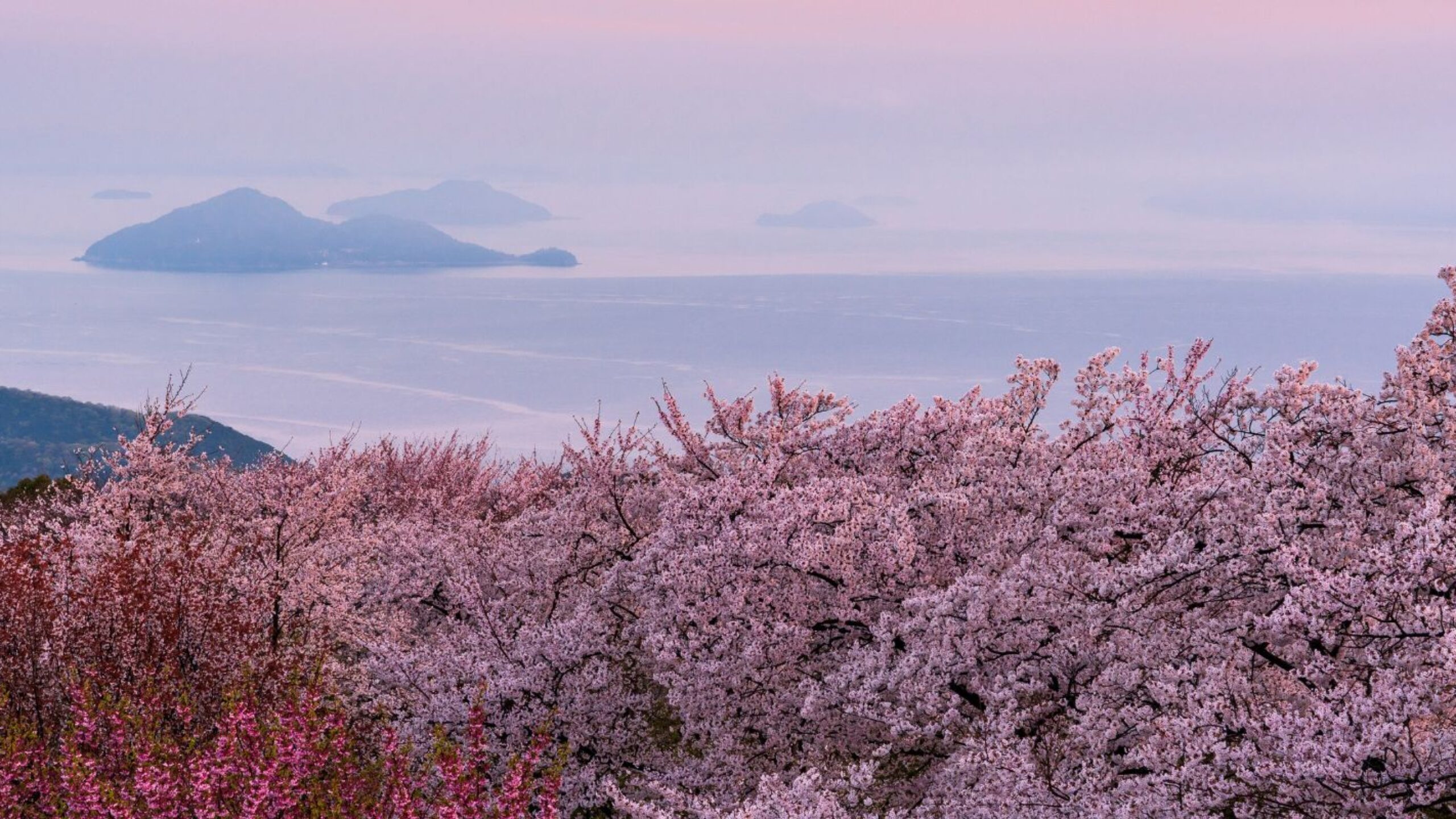 Cornwall&#8217;s Climate Charity