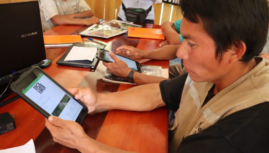 Rainforest Labs: the lowdown