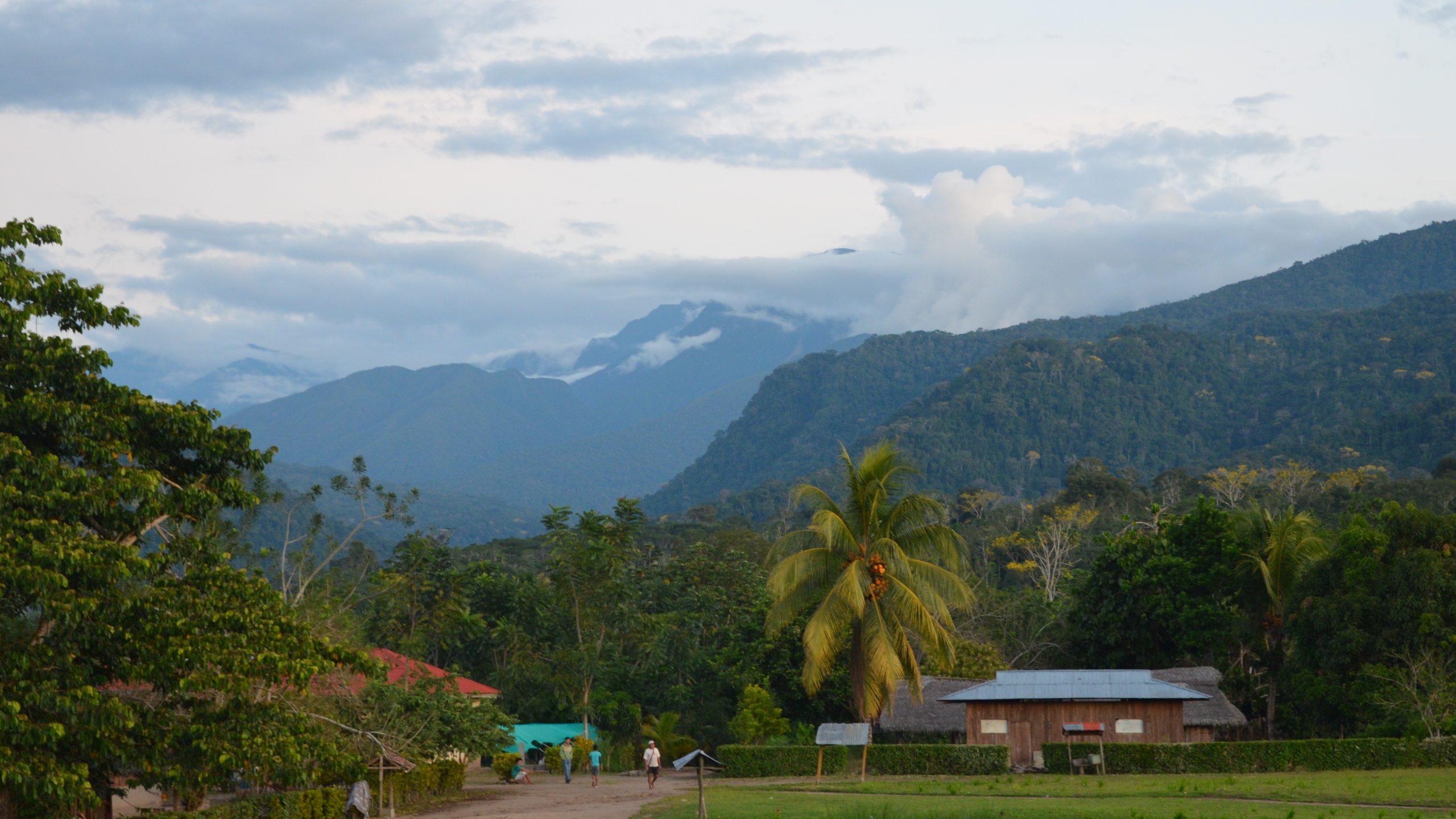 Meet Gilder this UN Indigenous Peoples Day
