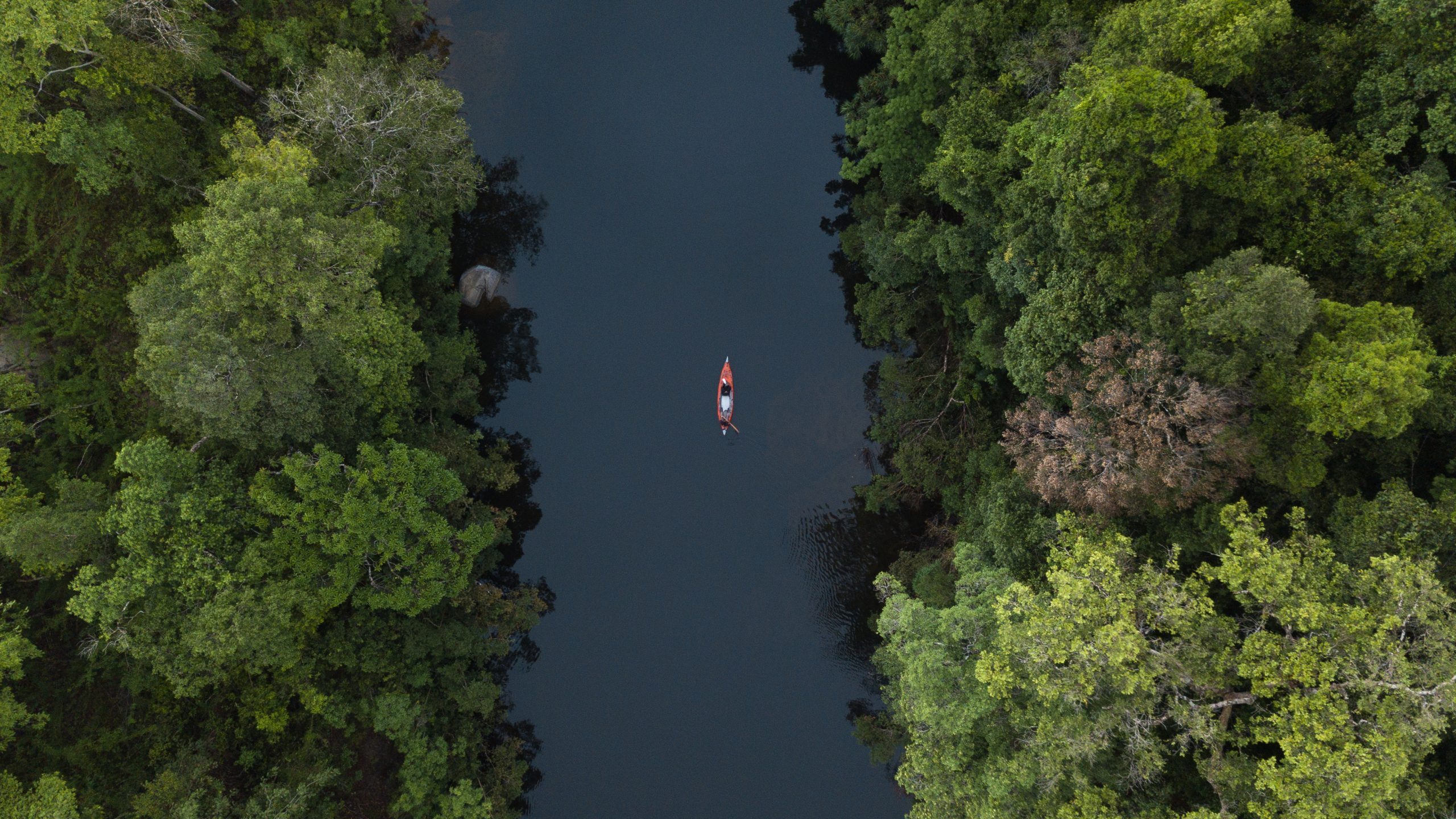 Behind the lens with Cool Earth&#8217;s in-house photographer
