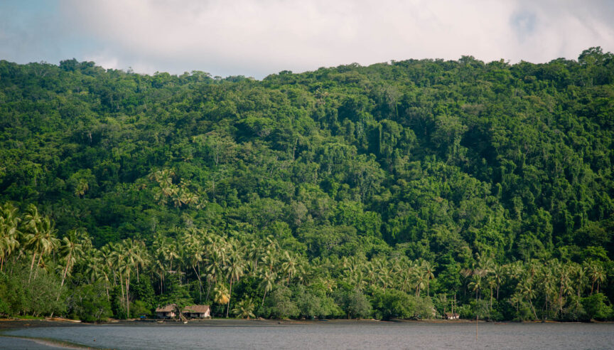 7% of the world’s species live here