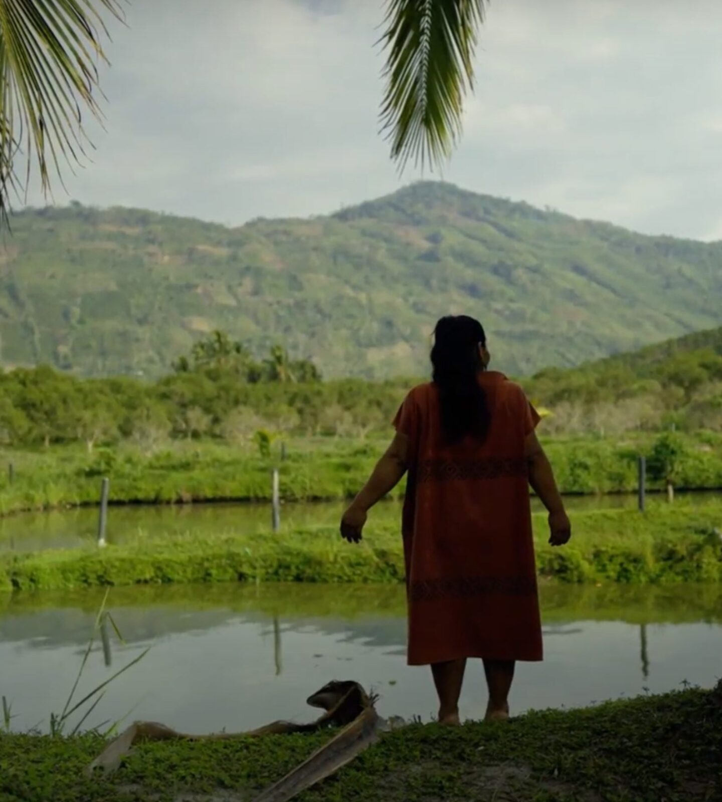 Here's how big your impact will be