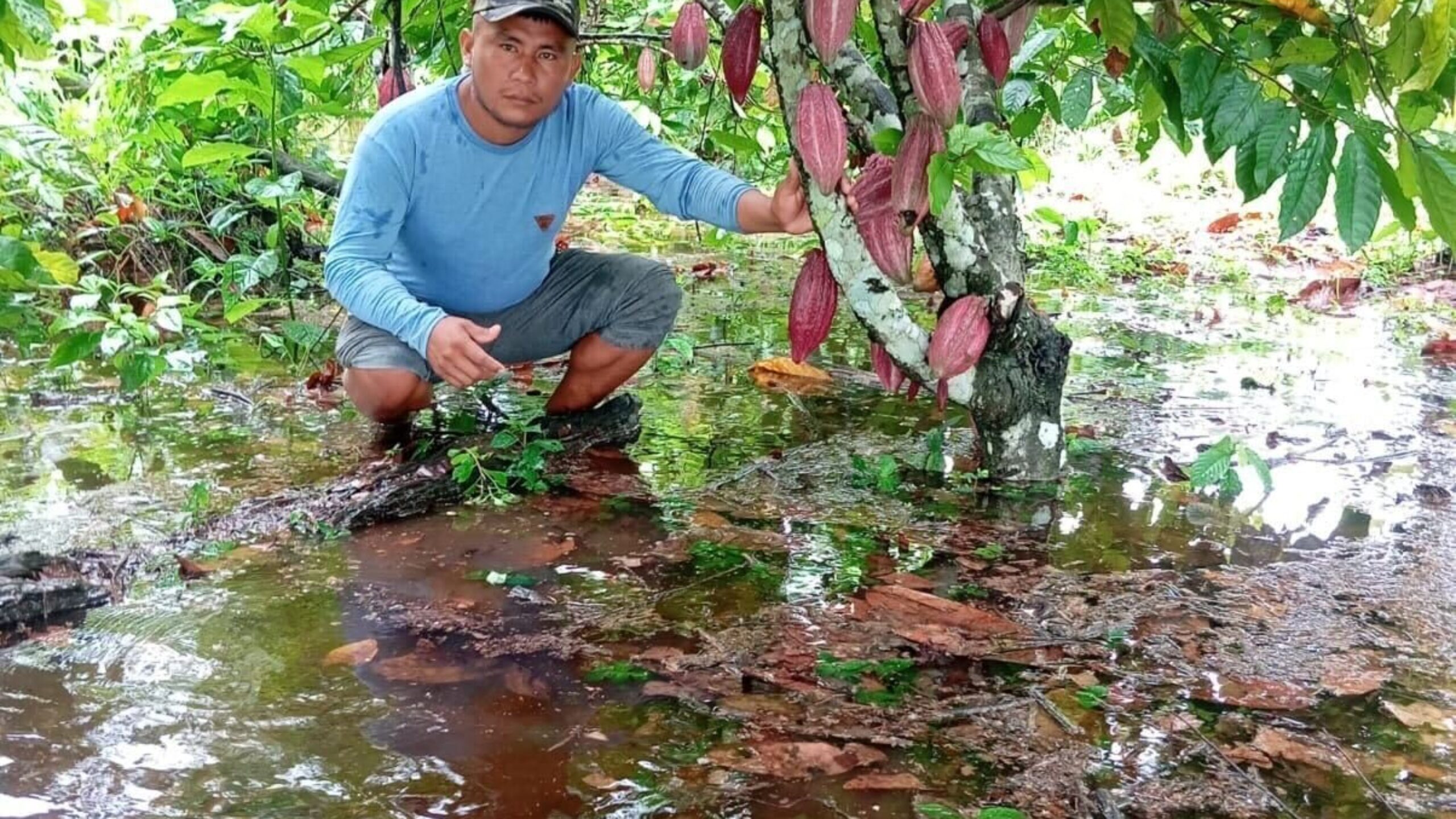 Flooding Devastates Communities in the Amazon