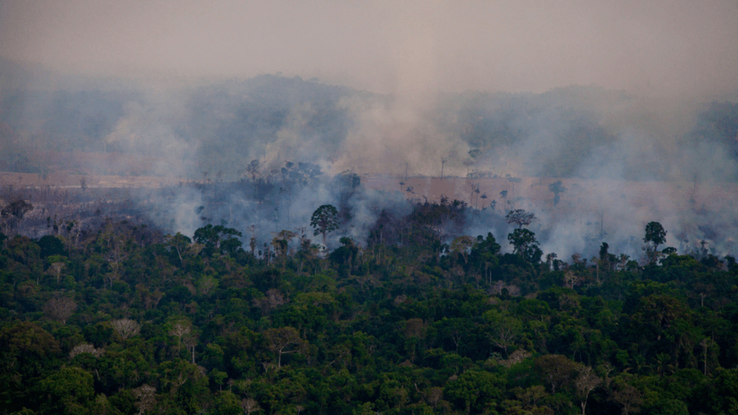 Why rainforest wildfires affect us all