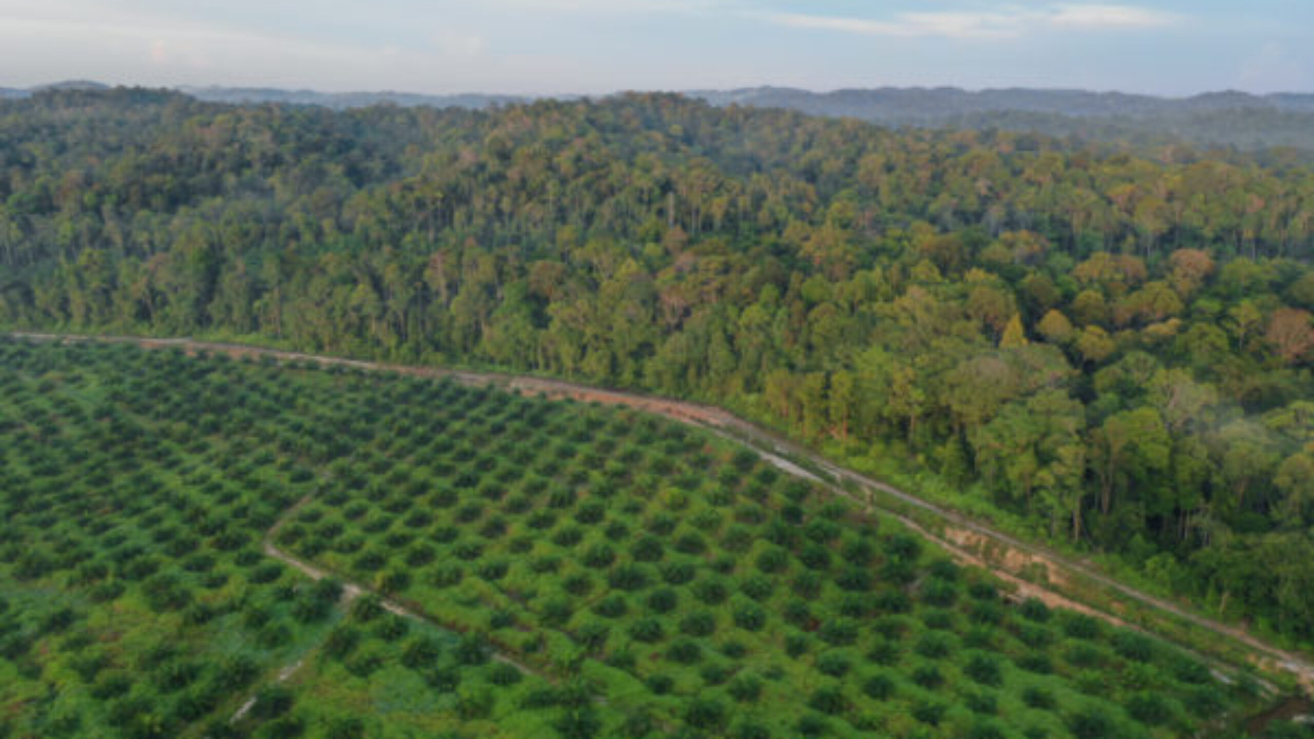 COP 15: From Egypt to Canada, from climate to biodiversity &#8211; the stakes are high.