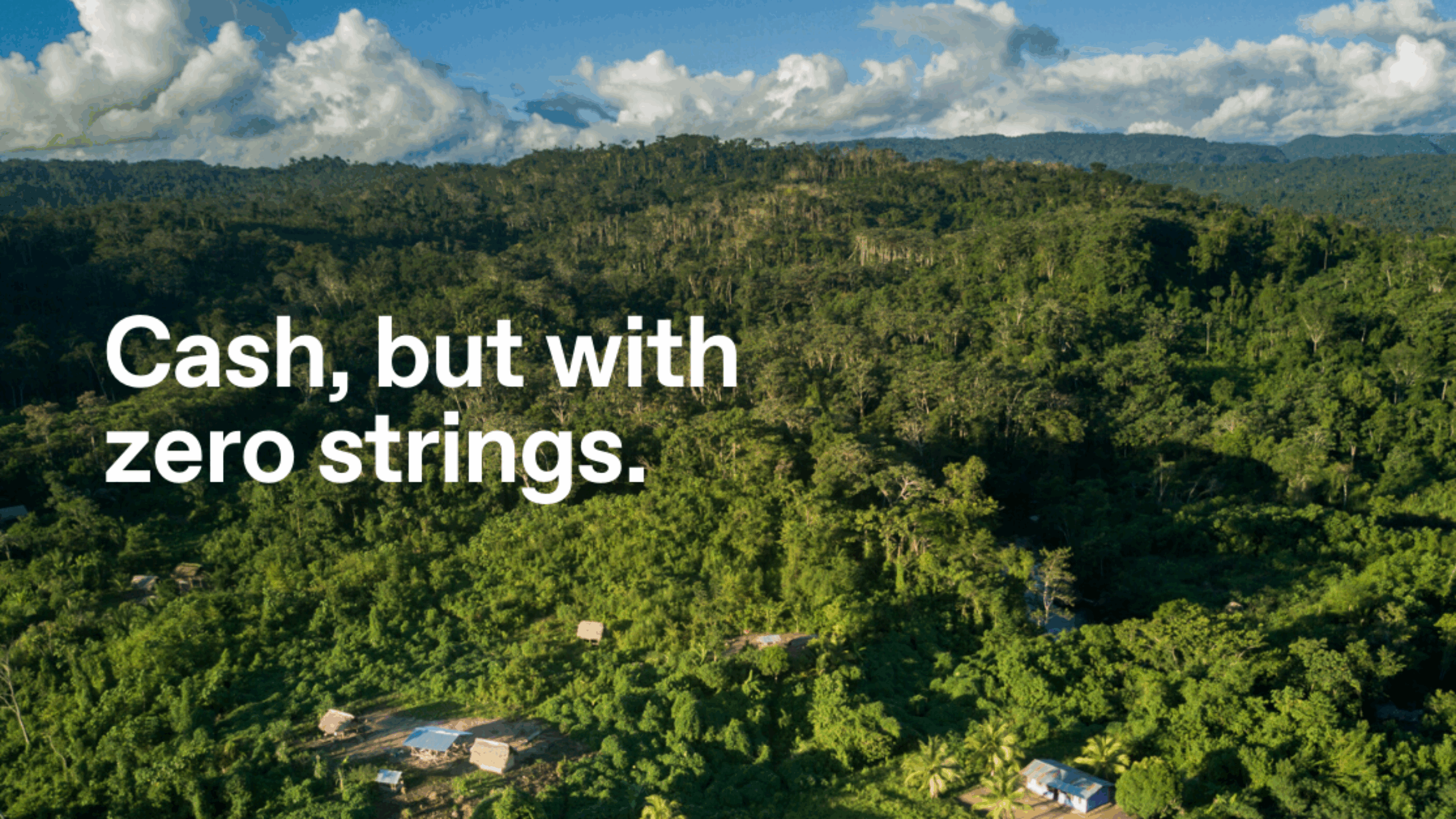 Just Cash: The Plan*