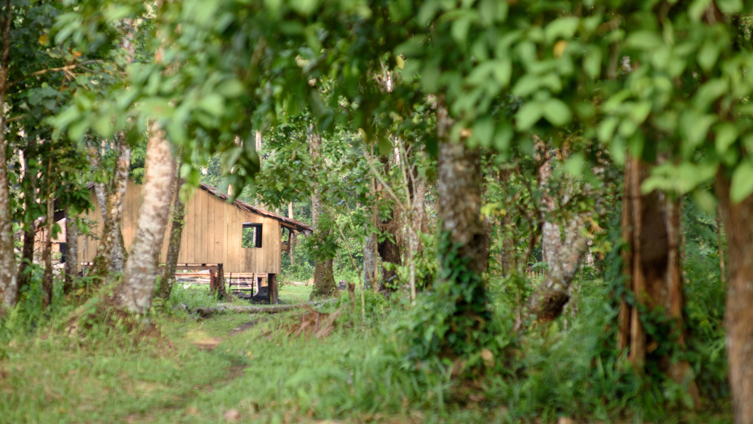 Cool Earth and the Founders Pledge