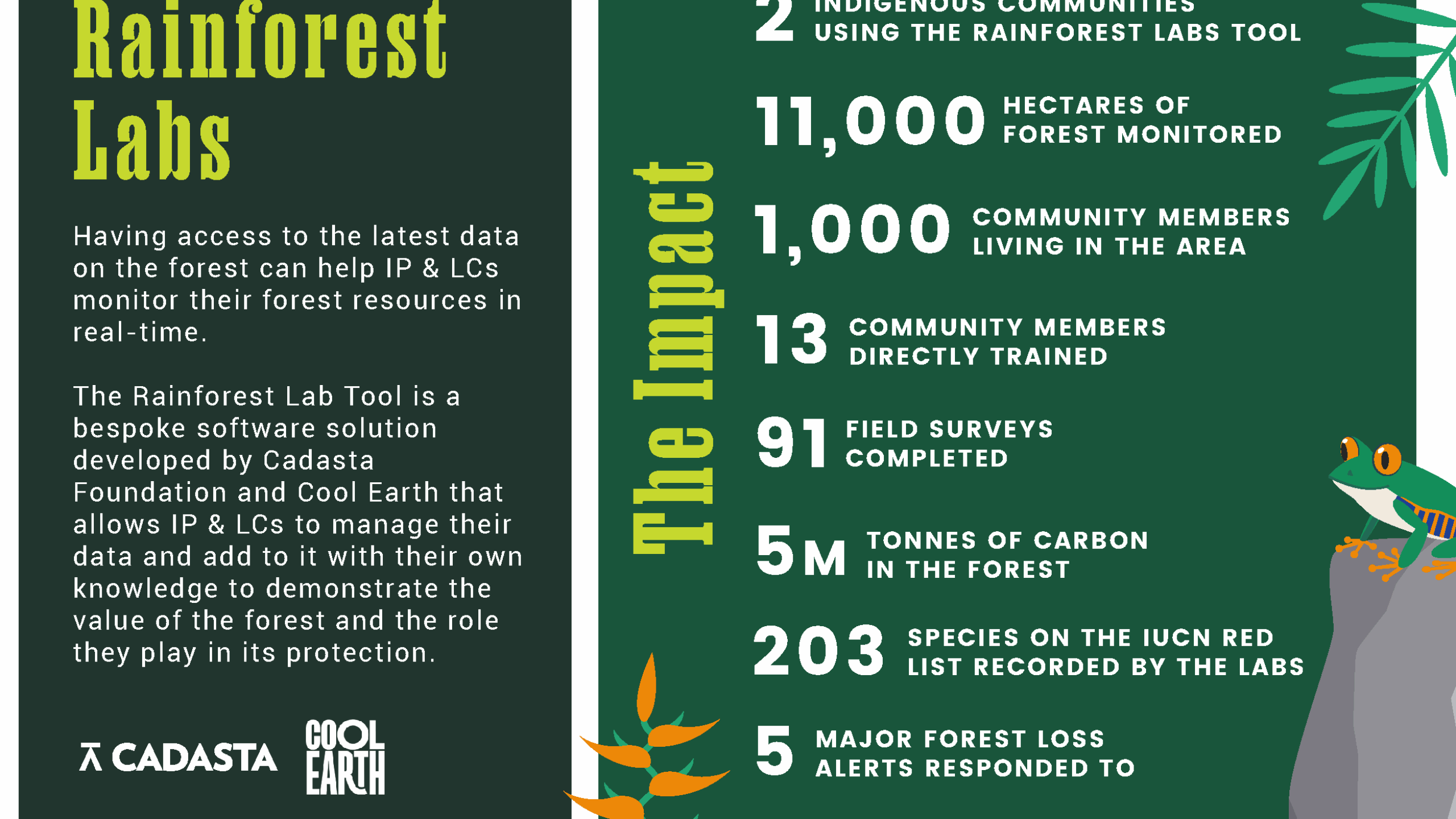 Could Indigenous knowledge save the Amazon?