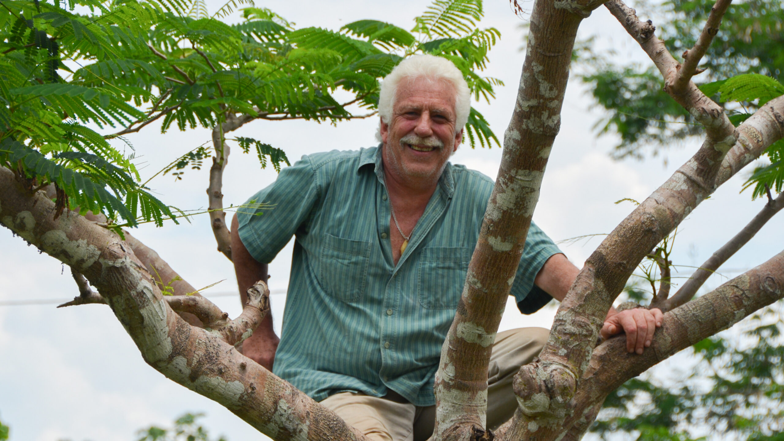 Dilwyn Jenkins Obituary 1957-2014