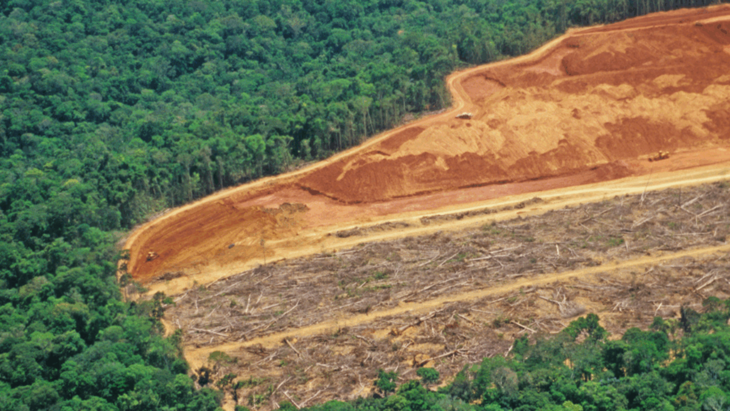 Lula vs Bolsonaro &#8211; Hope for the Brazilian Amazon