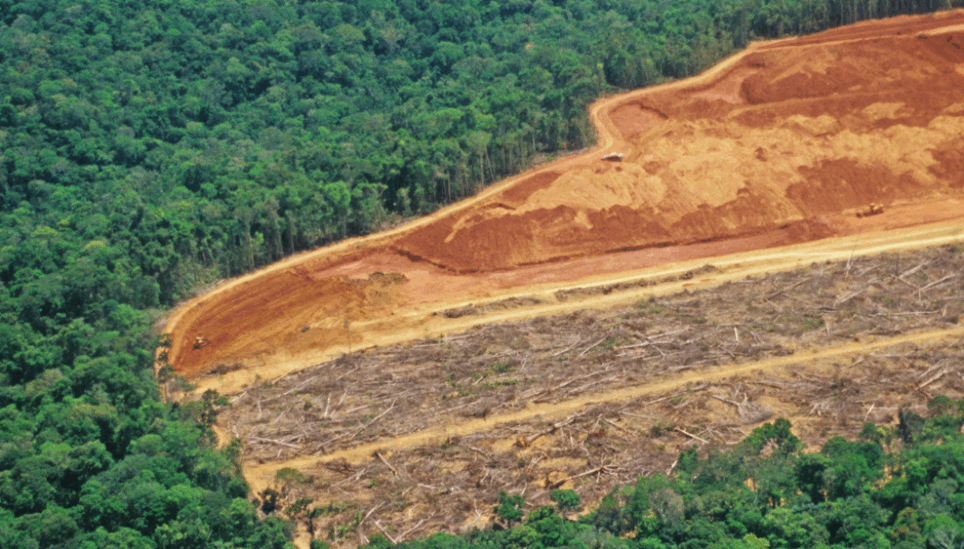 https://staging-coolearth2.picl.co.uk/wp-content/uploads/2025/07/Deforestation-in-the-Brazilian-Amazon.png