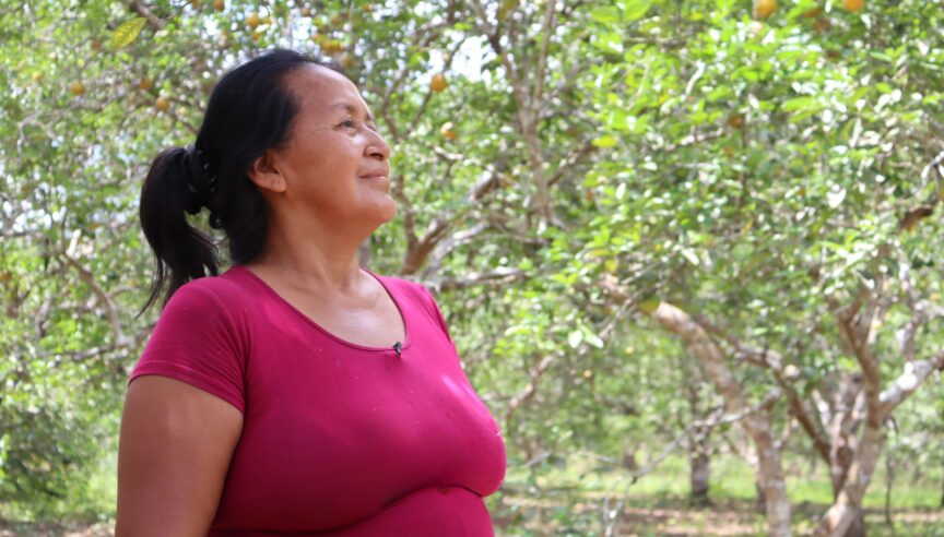 Cash giving rationale 