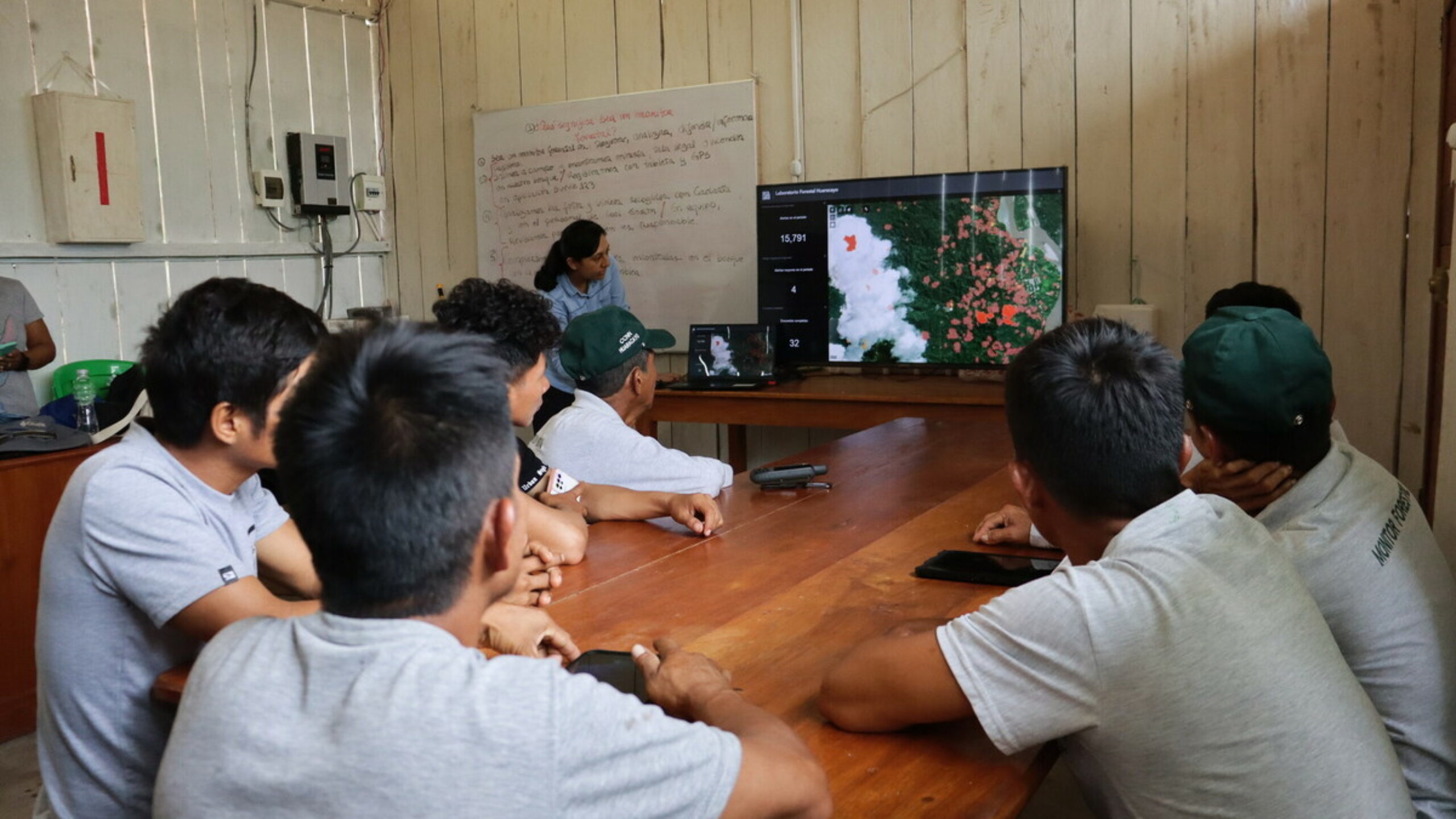 Rainforest Labs: The latest forest protecting technology