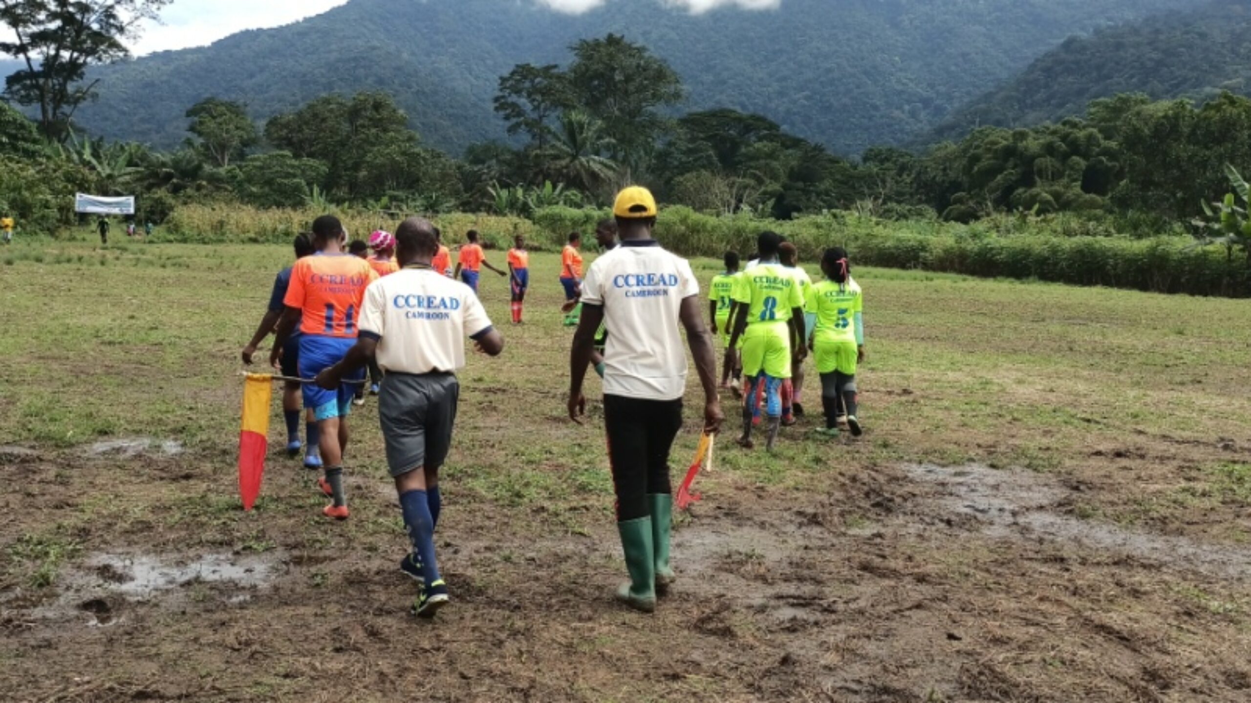 Can football lead to rainforest protection?