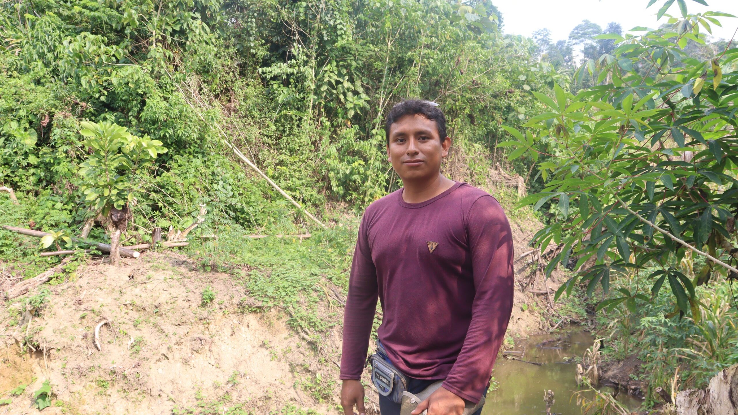 The forest depends on fish farmers