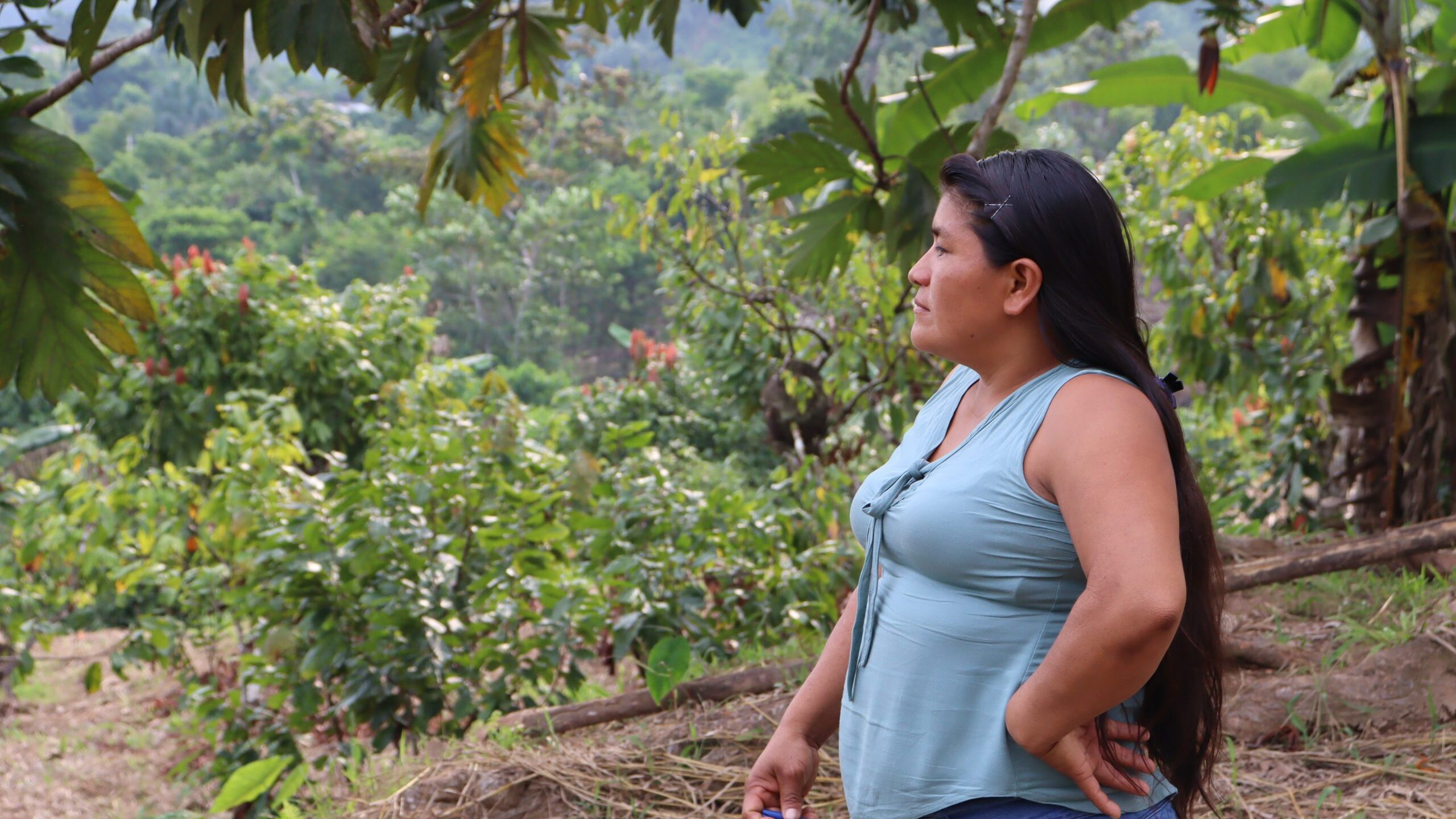 Two cheers for the The Tropical Forest Forever Facility