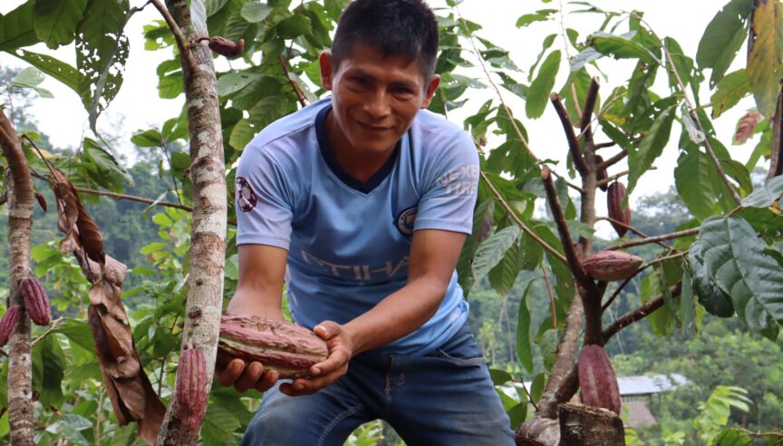 Become a business partner