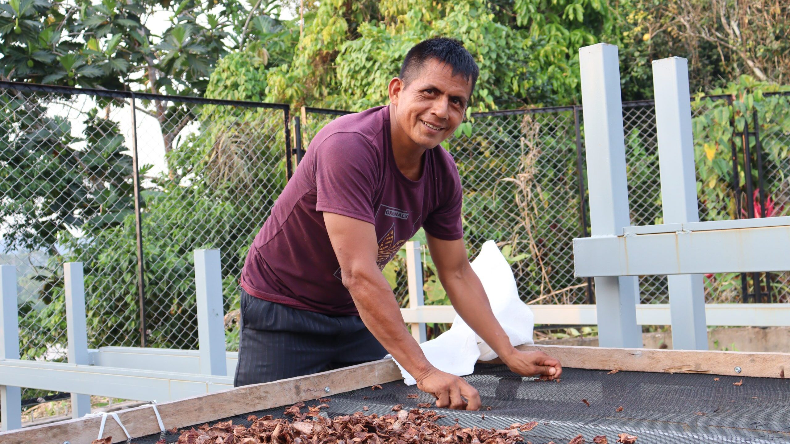 More chocolate means a better future