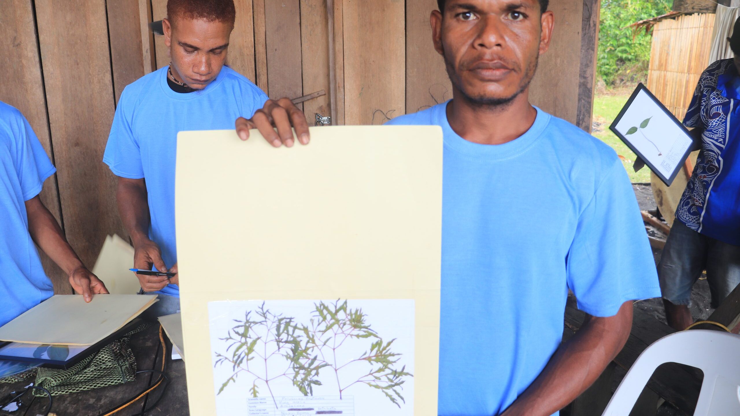 Incredible Plant Biodiversity in New Guinea