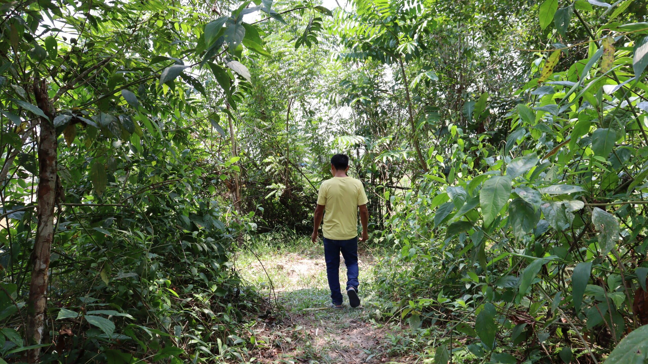 Peru’s New Anti-NGO Law